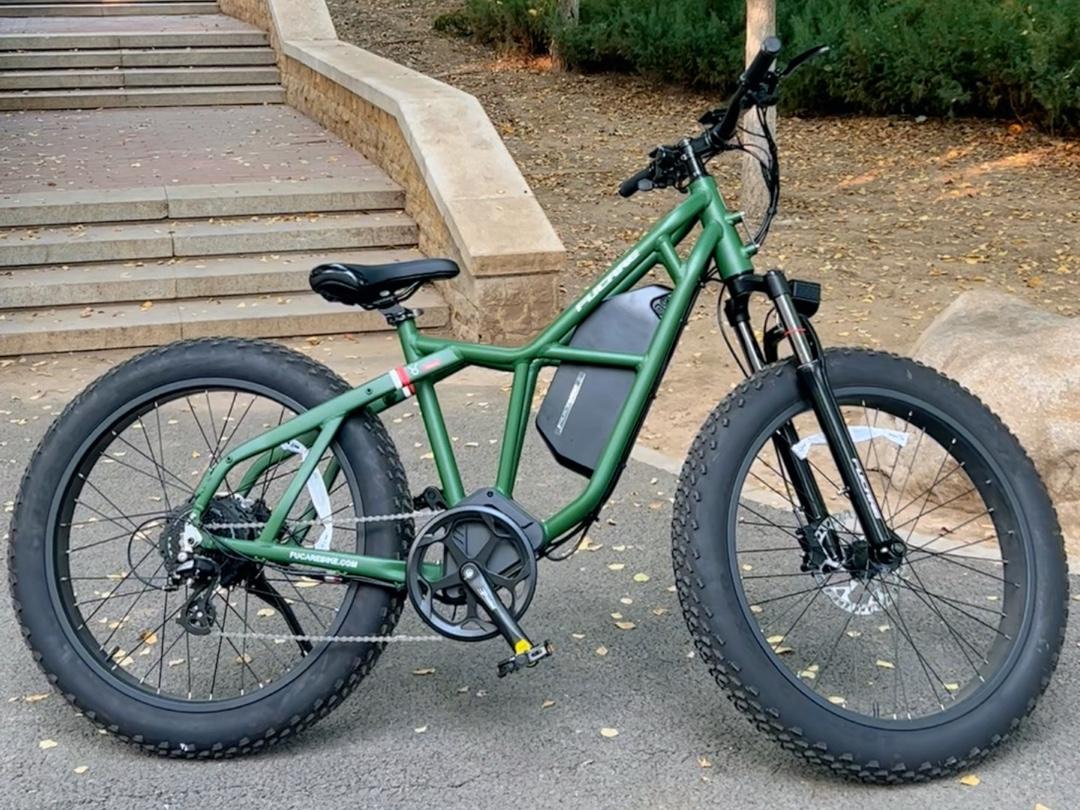 How to Choose the Right Electric Bike Battery: Your Complete Guide