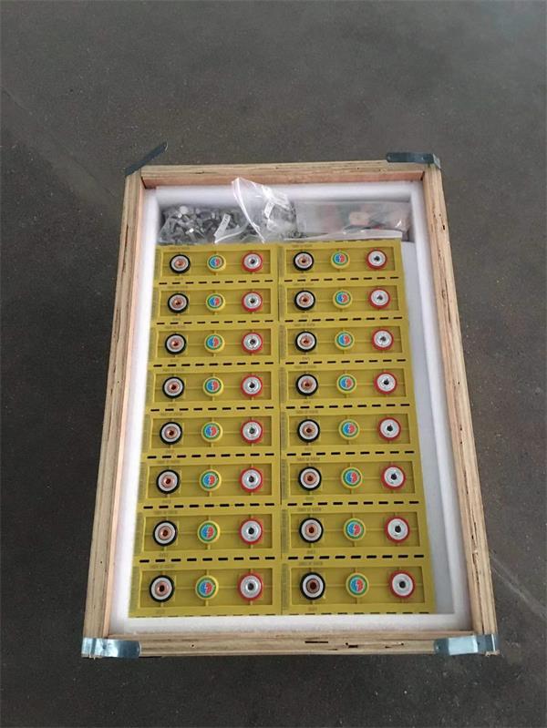 Winston 3.2V 100Ah LiFePO4 Batteries and Daly BMS Shipped to New Caledonia