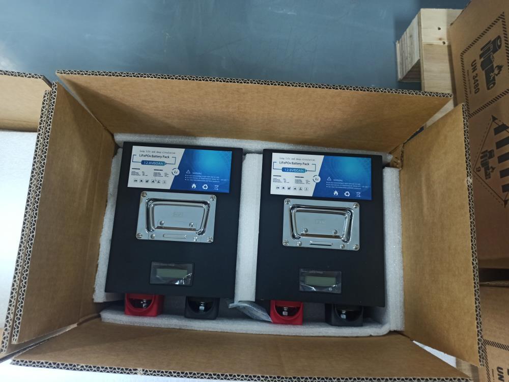 12V 60Ah LiFePO4 Battery Packs Shipped to Germany