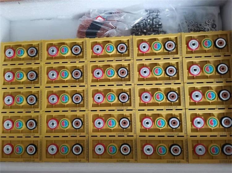 Winston 3.2V 60Ah LiFePO4 Batteries Shipped to Germany