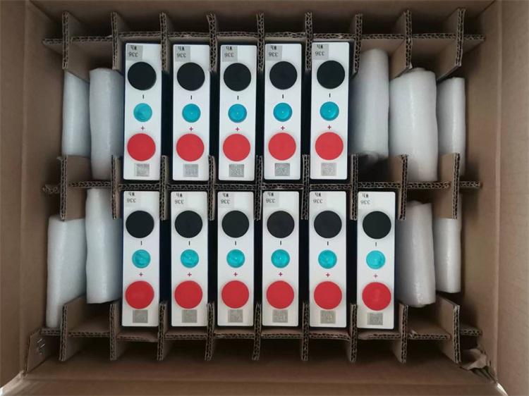 EVE LF105 3.2V 105Ah LiFePO4 Cells Shipped to Indonesia