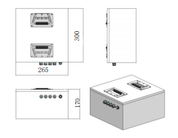 Customized 48V 34Ah LiFePO4 Battery Pack for Logistics Machines