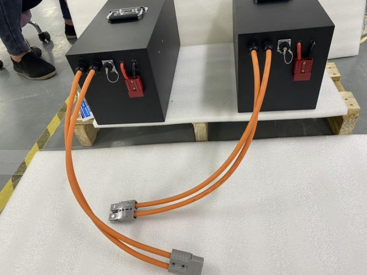 Customized 25.6V 100Ah Lithium Battery Pack for Boats