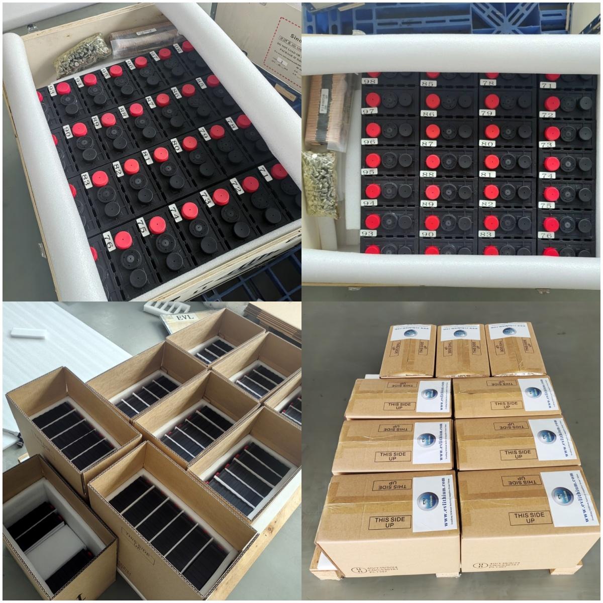 100 pcs SINOPOLY 3.2V 60Ah LiFePO4 Cells Shipped to the Netherlands
