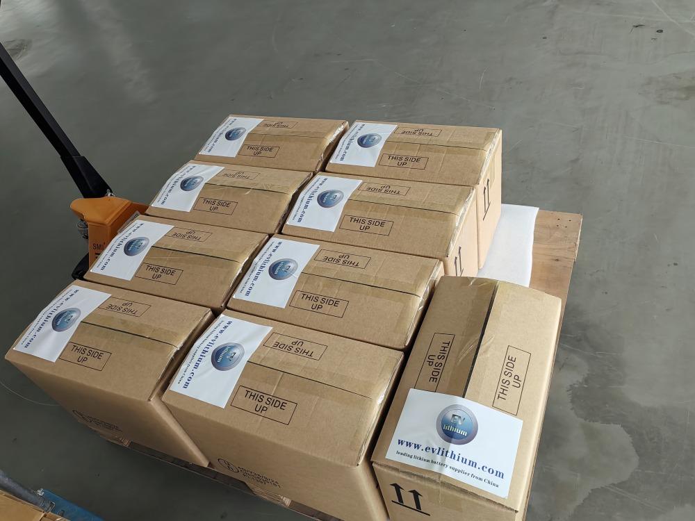 BAK 3.2V 150Ah Lithium Battery