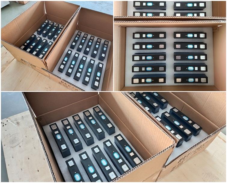 REPT 3.2V 65Ah Lithium Battery