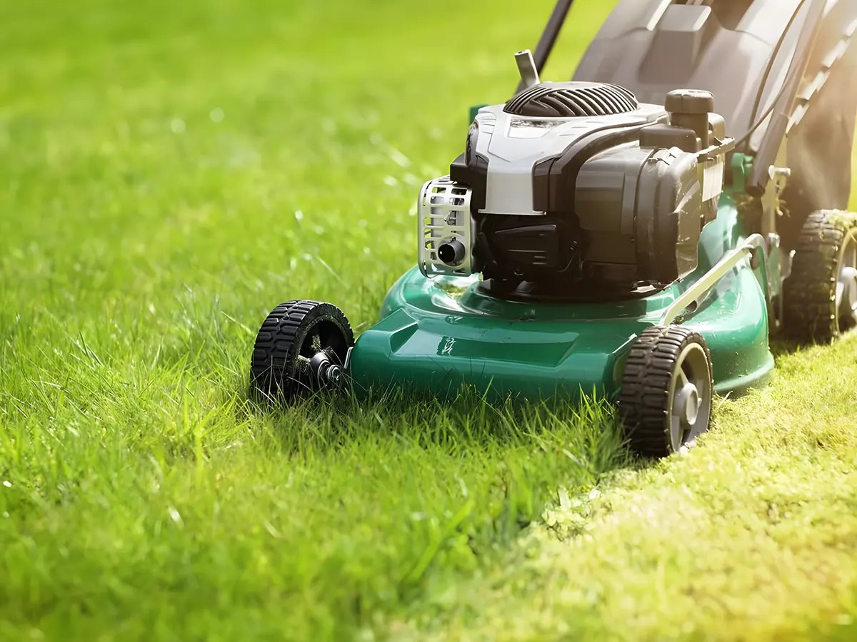 Choosing the Best Riding Mower Battery: Your Complete Guide