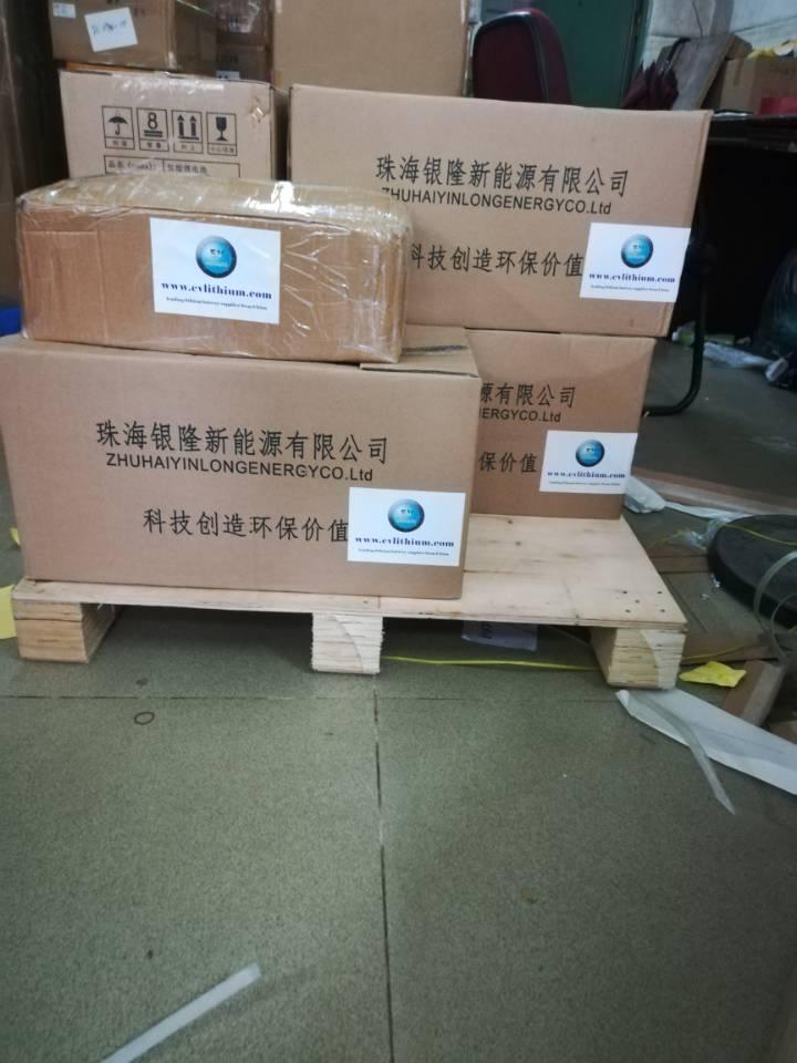 40Ah Yinlong Lithium Titanate Battery