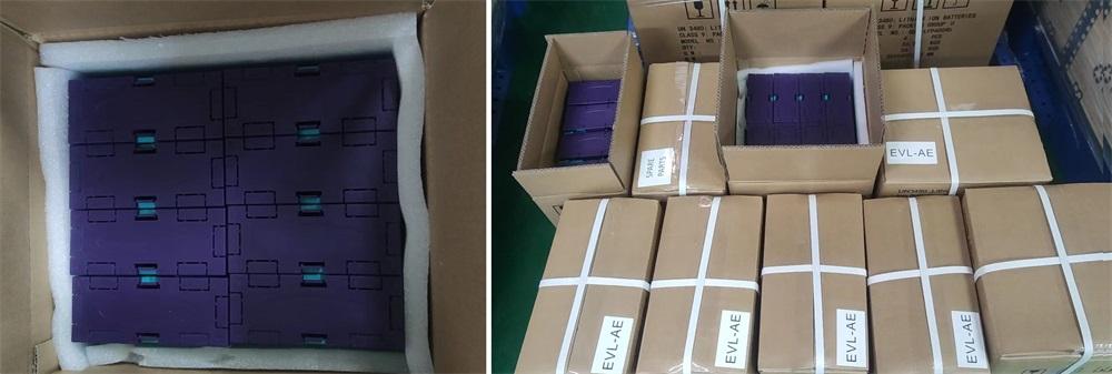 GBS LiFePO4 battery modules
