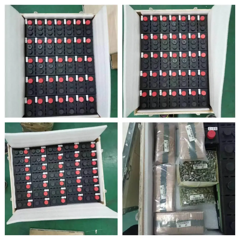 Sinopoly 3.2V 60Ah LiFePO4 Battery Packing Details