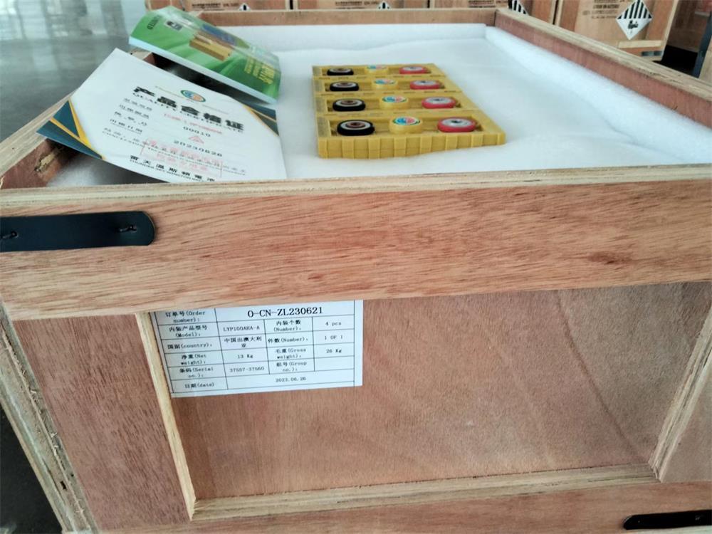 Winston 3.2V 100Ah LiFePO4 Battery Packing Details