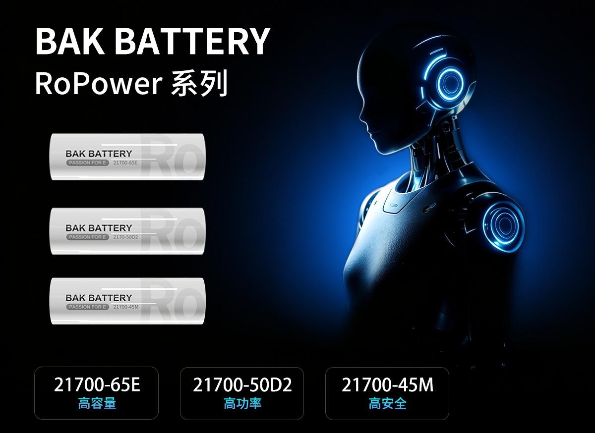 BAK Battery RoPower Series