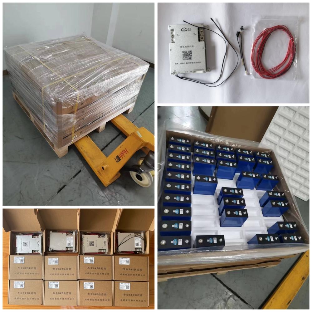 CATL 3.2V 280Ah LiFePO4 Battery and 8S 200A 24V BMS Packing Details