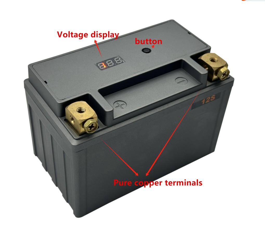 Structure Diagram of the 12V 12Ah 480CCA LiFePO4 Motorcycle Battery
