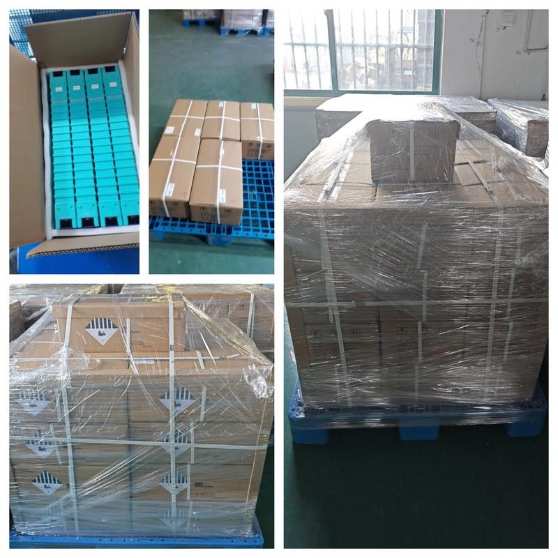 GBS 3.2V 200Ah LiFePO4 Battery Cell Packing Details