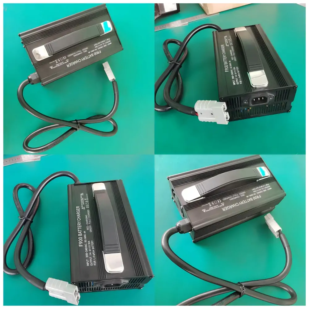 12V 30A charger