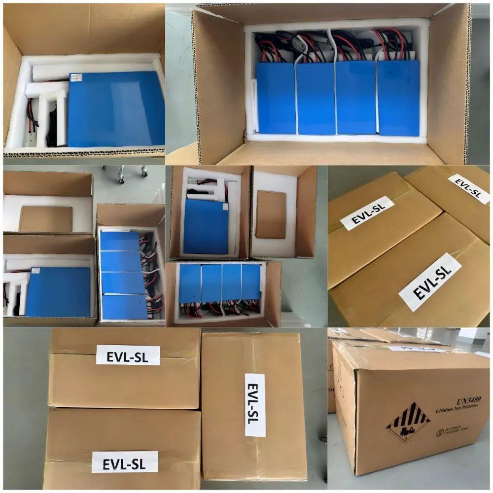12V Lithium Battery Pack Packing Details