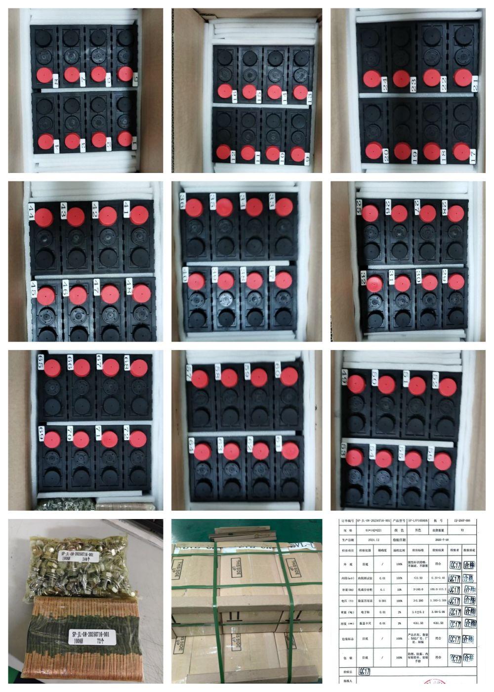 Sinopoly 3.2V 100Ah LiFePO4 Cell